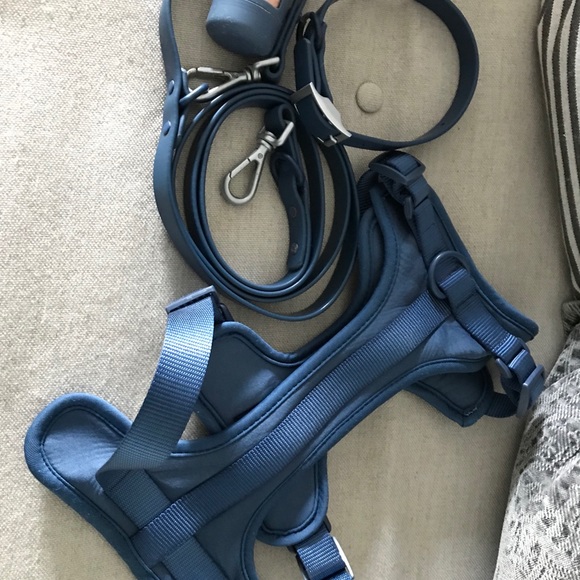 Wild One 🐶 harness walk set and collar - Picture 3 of 6